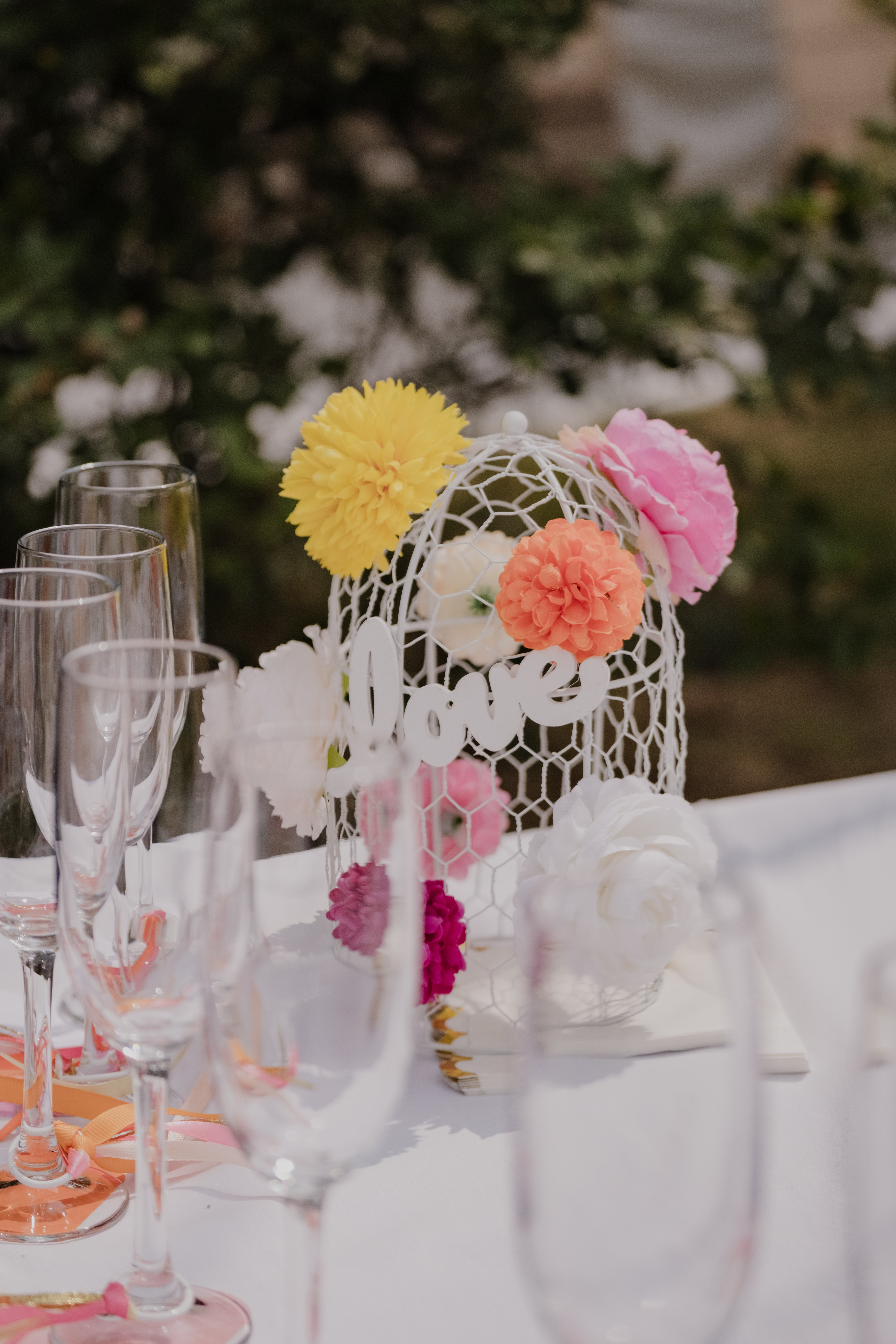 Photographe Bressuire