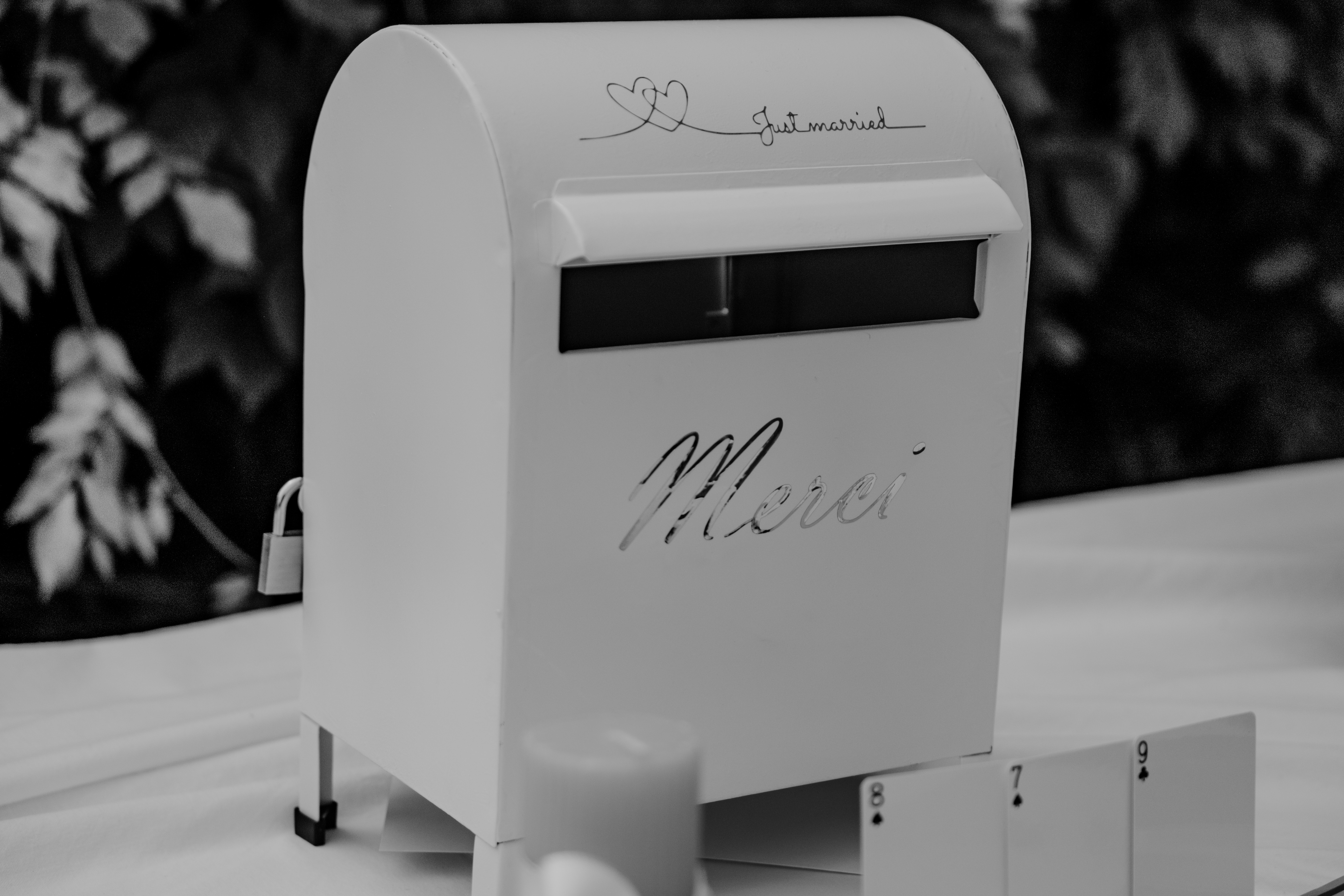 Photographe Bressuire