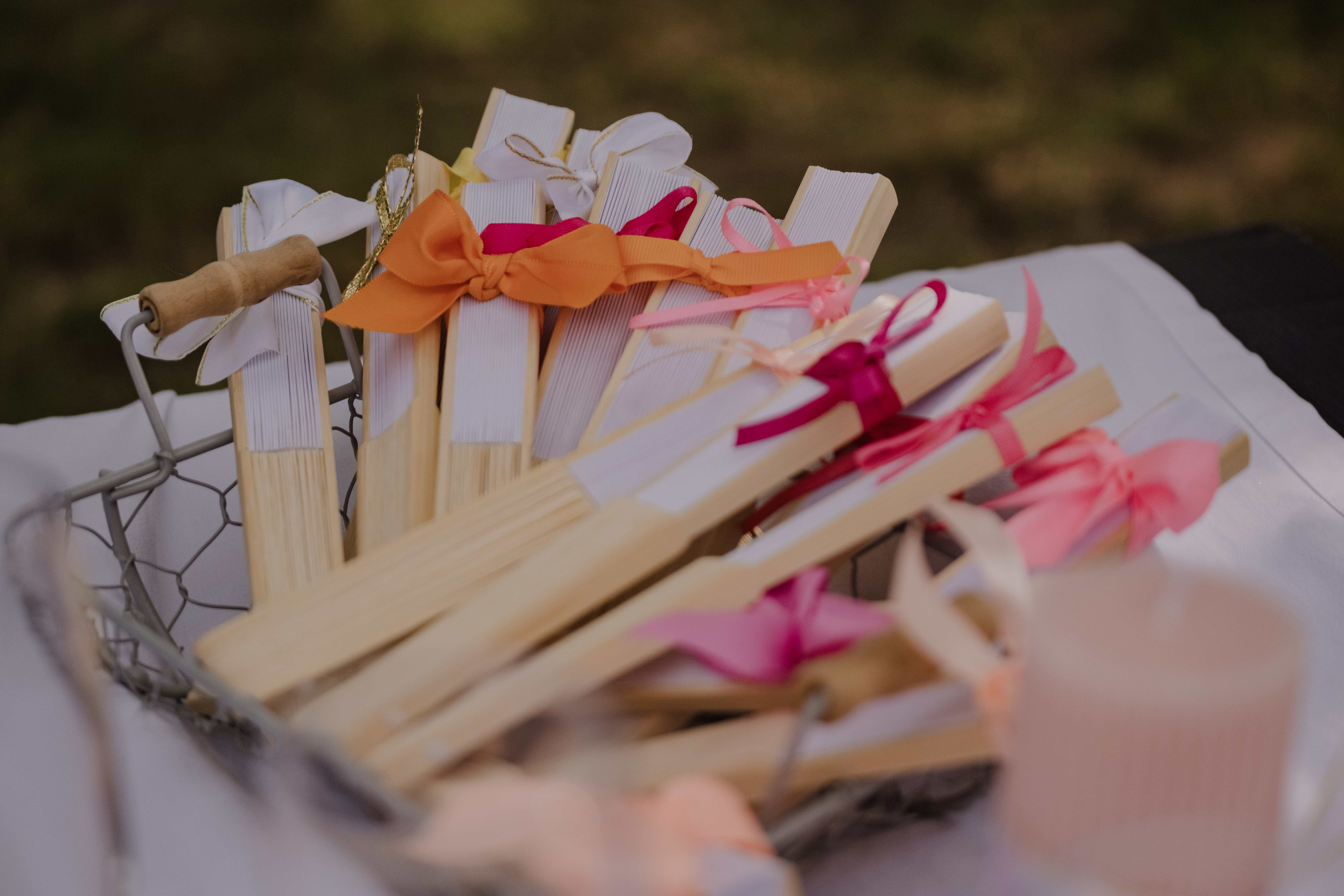 Photographe Bressuire