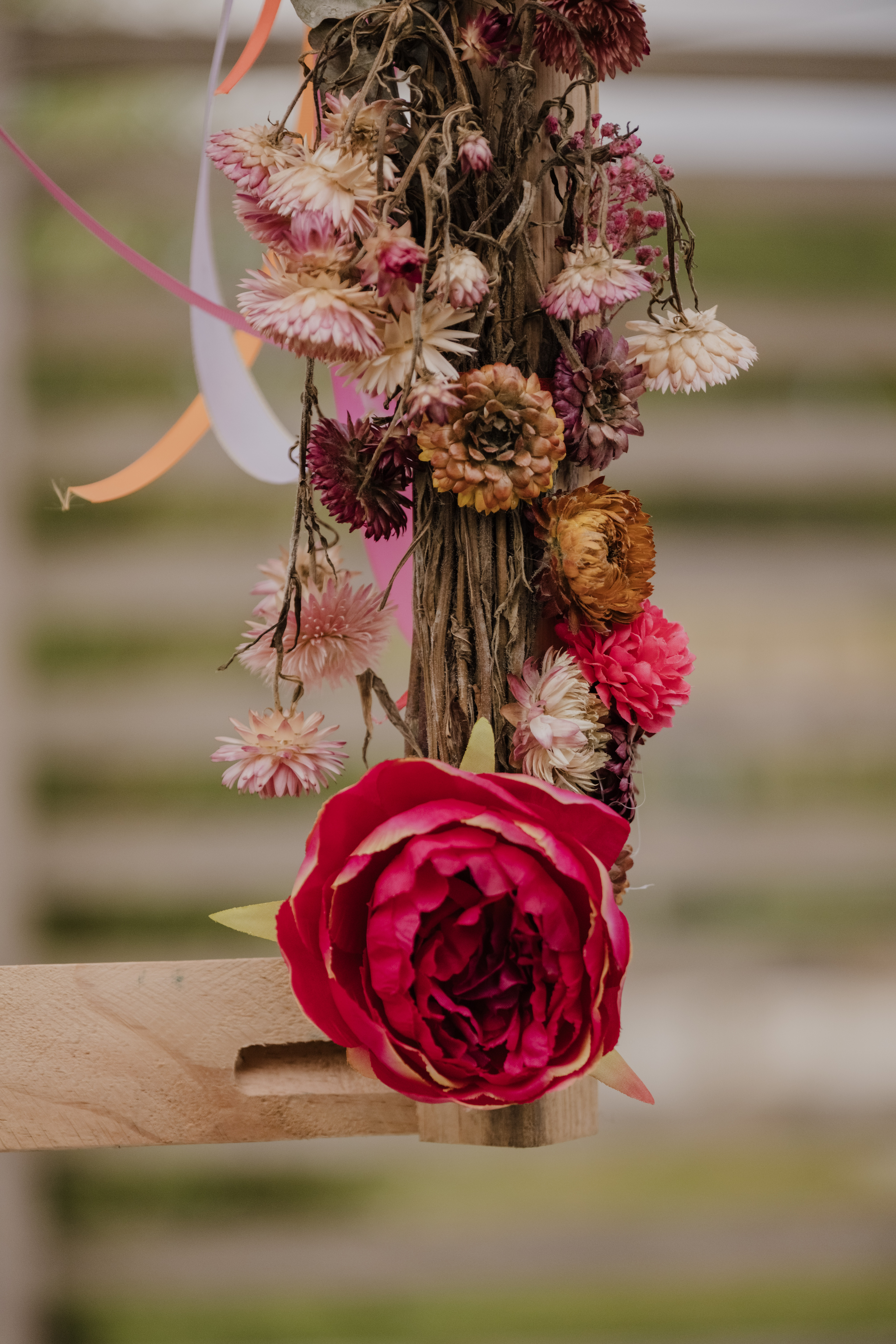 Photographe Bressuire