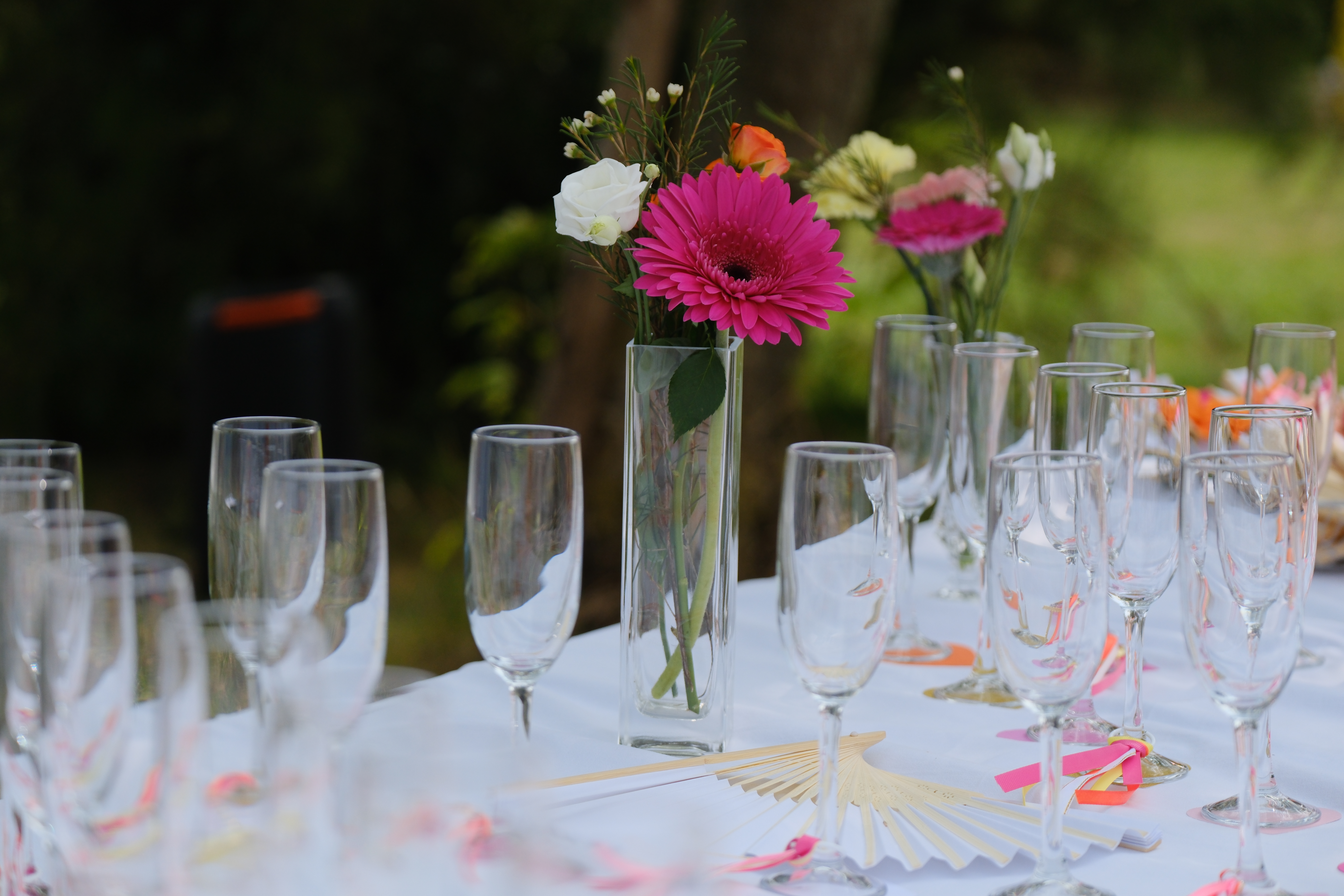 Photographe Bressuire