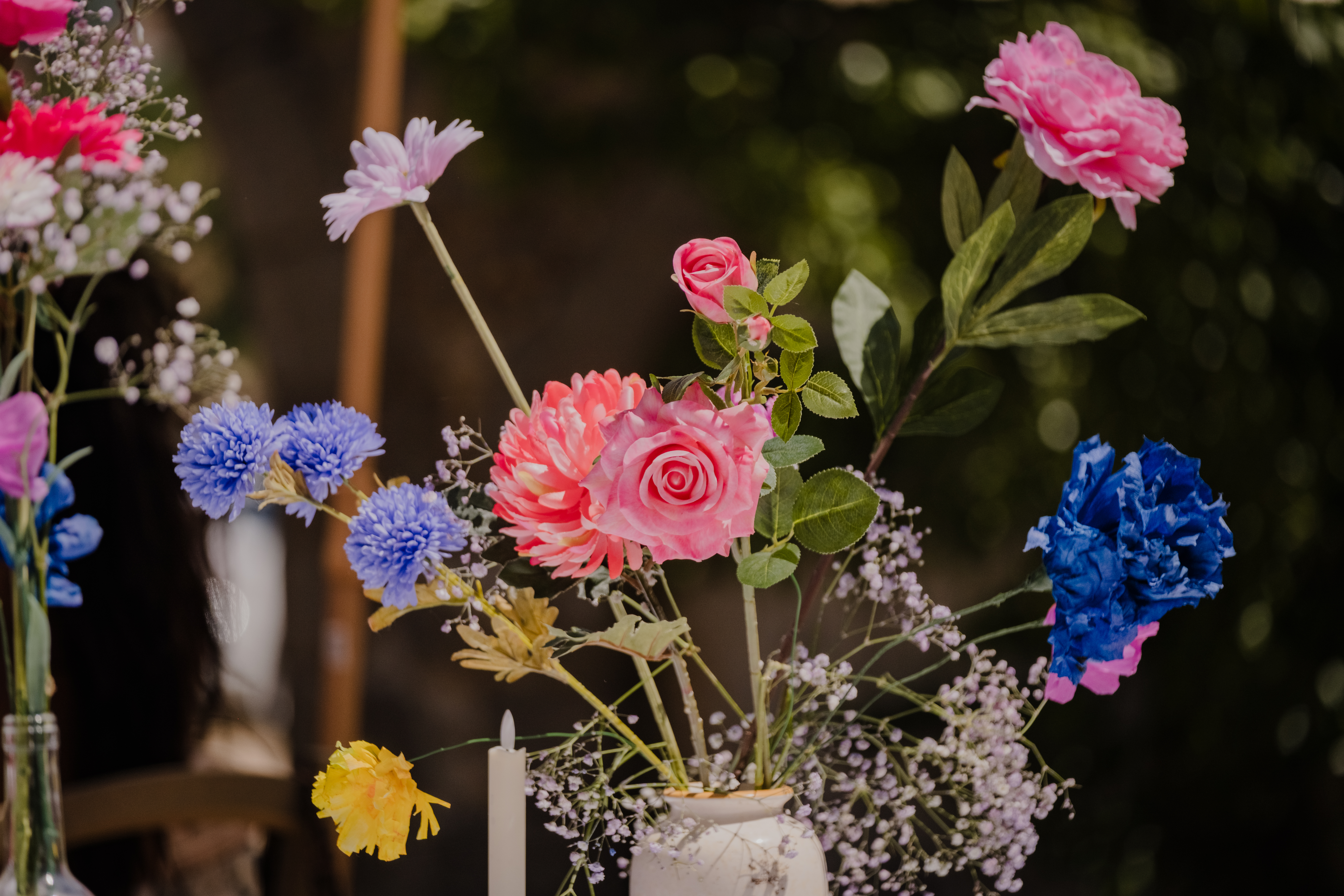 Photographe Bressuire