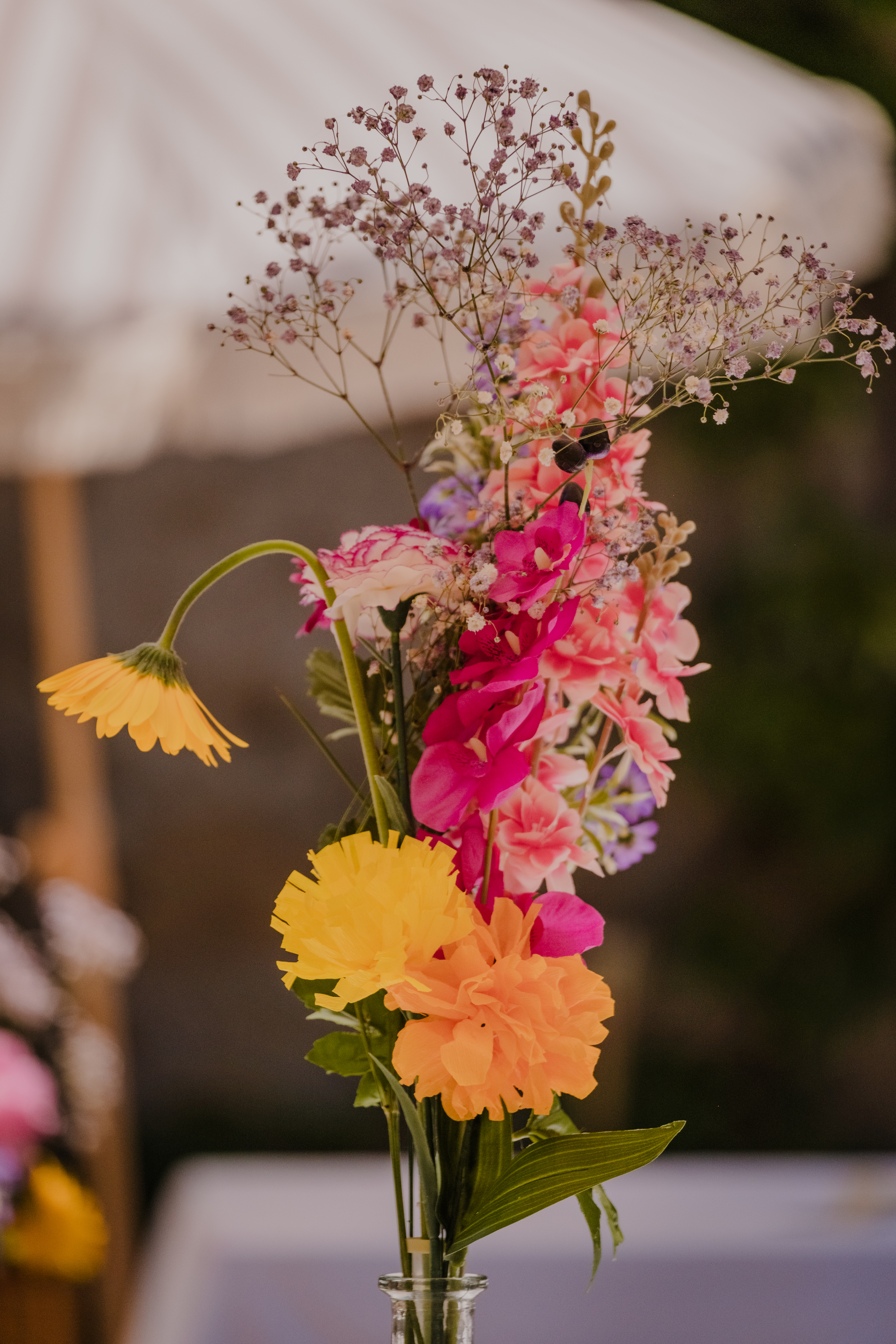 Photographe Bressuire