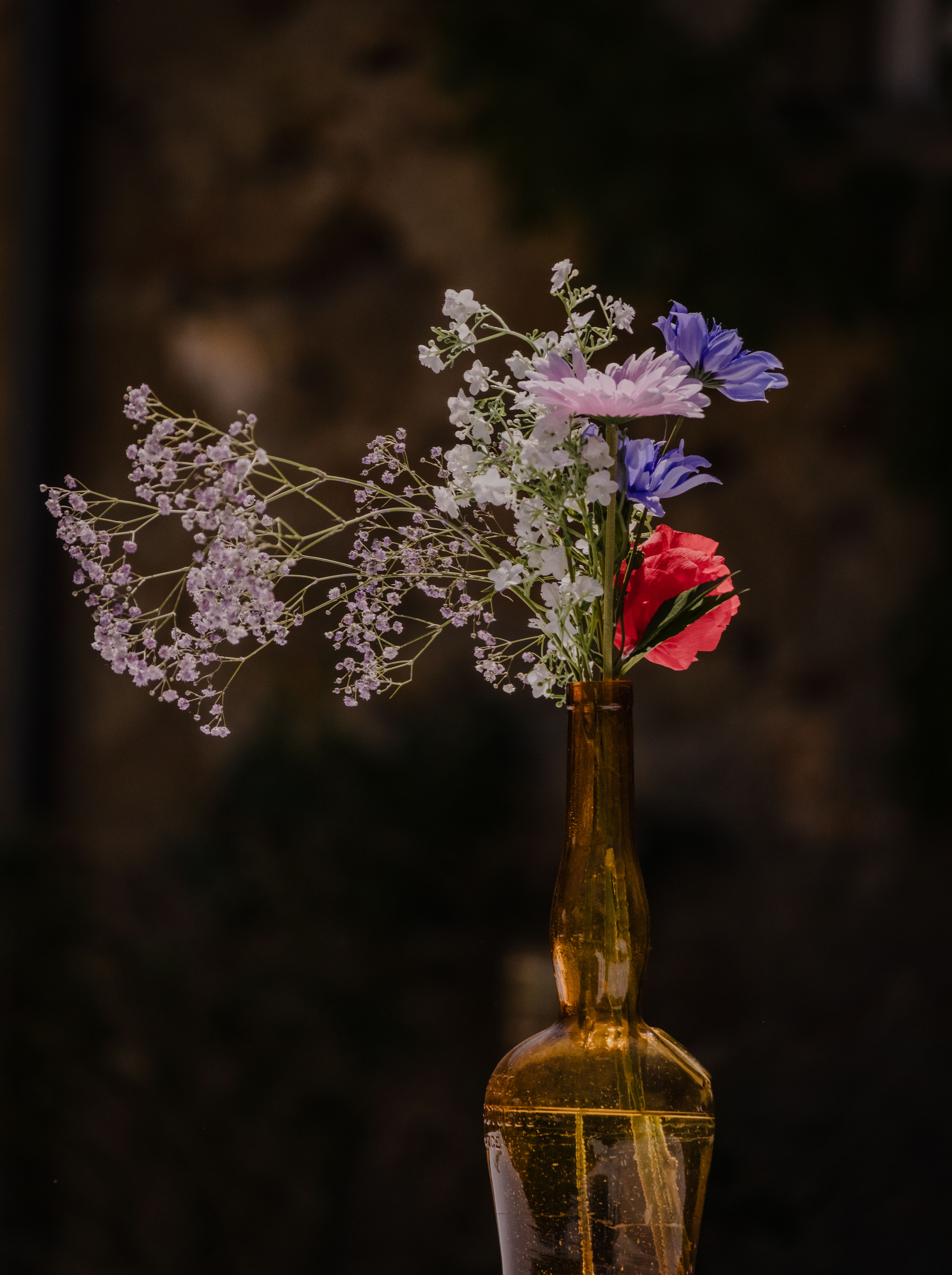 Photographe Bressuire