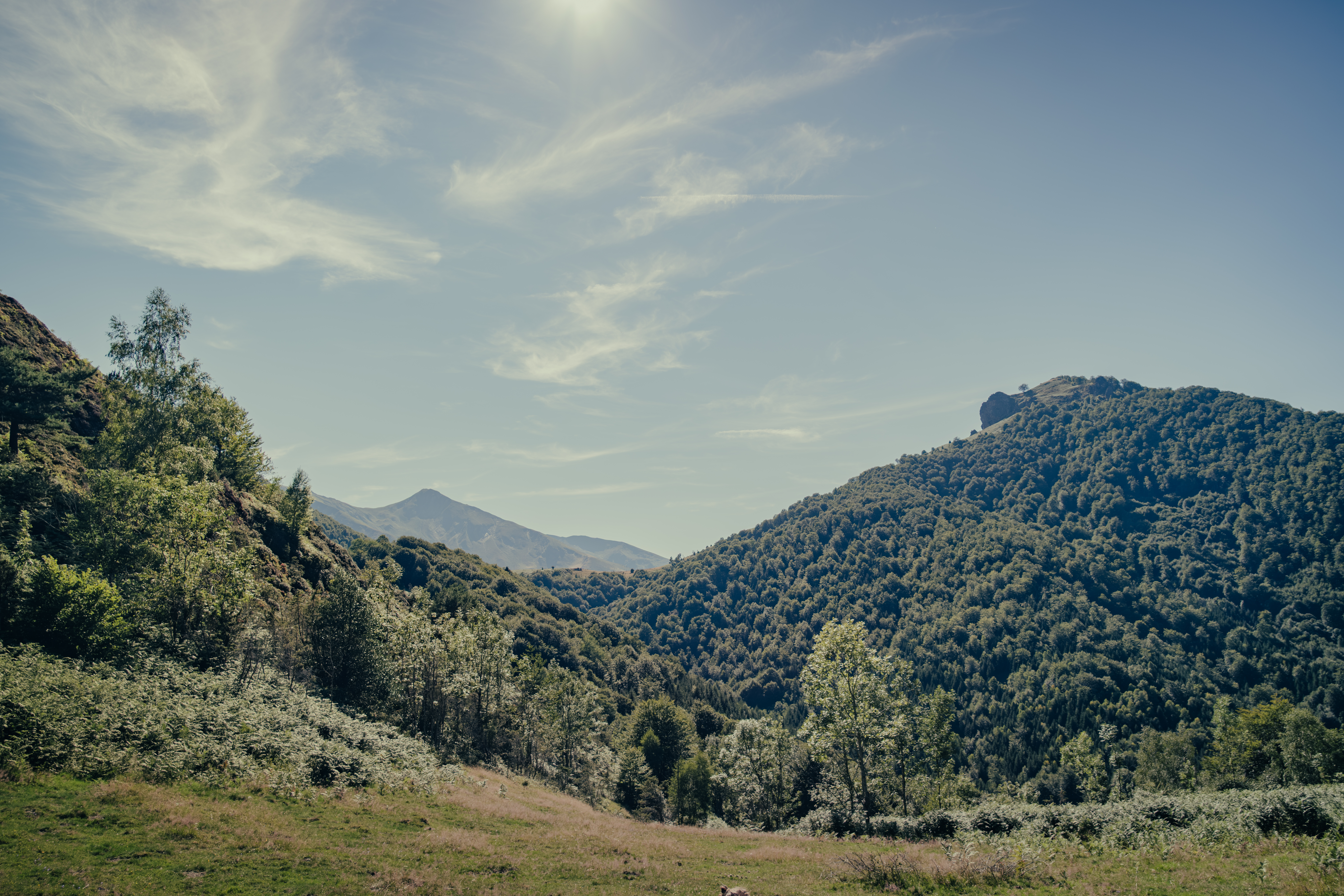 Photographe Paysage Nature