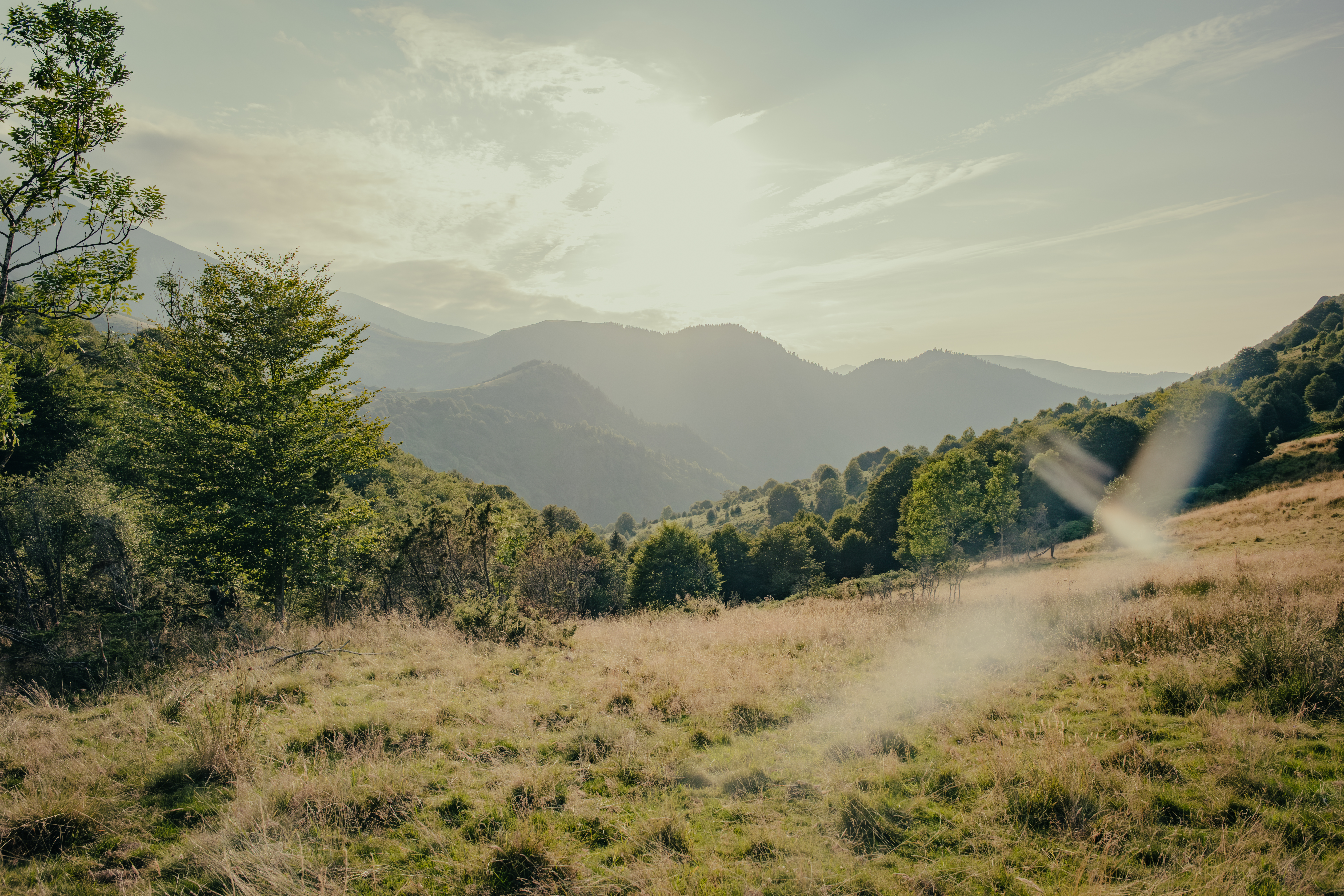 Photographe Paysage Nature