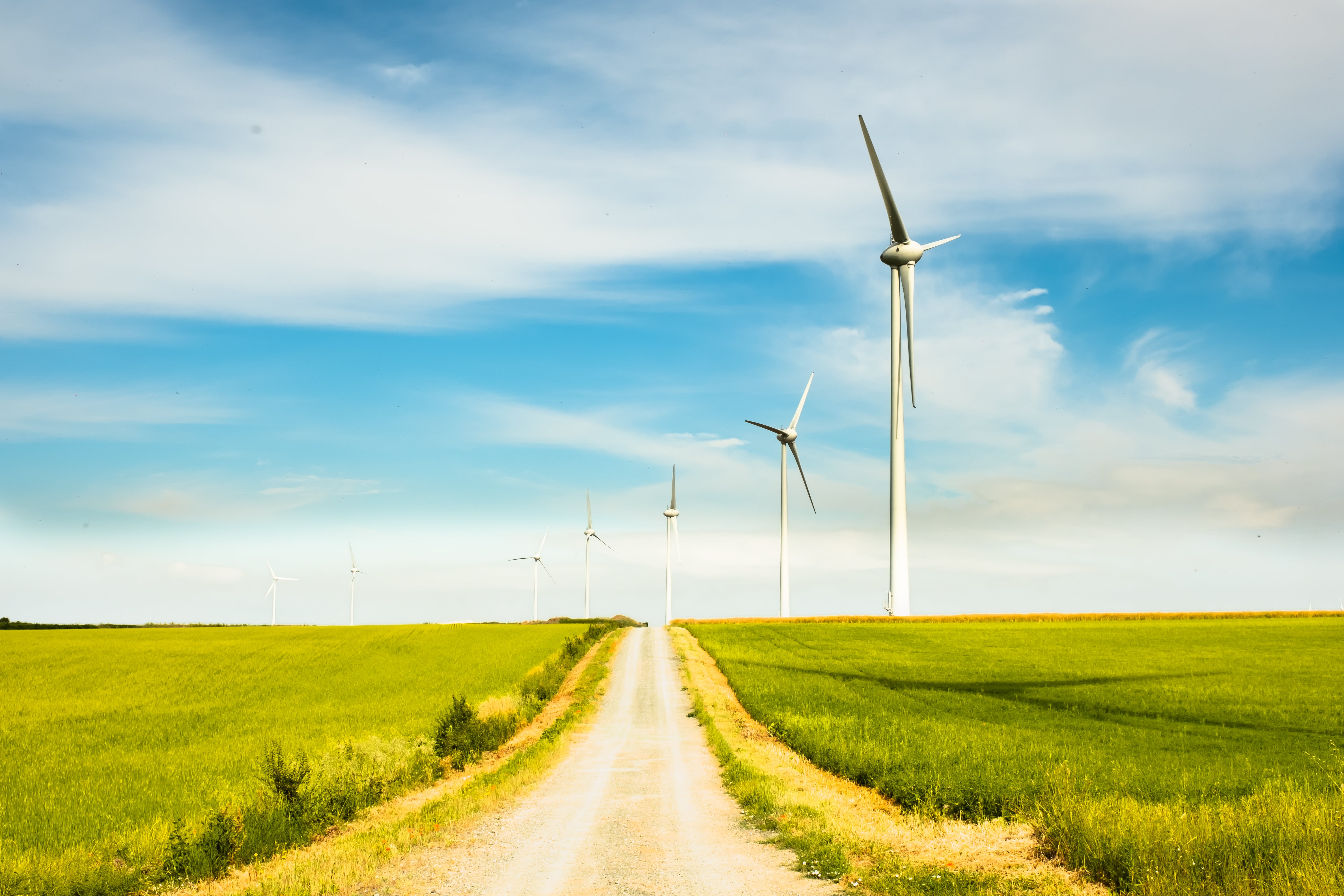 photographe entreprise Bressuire