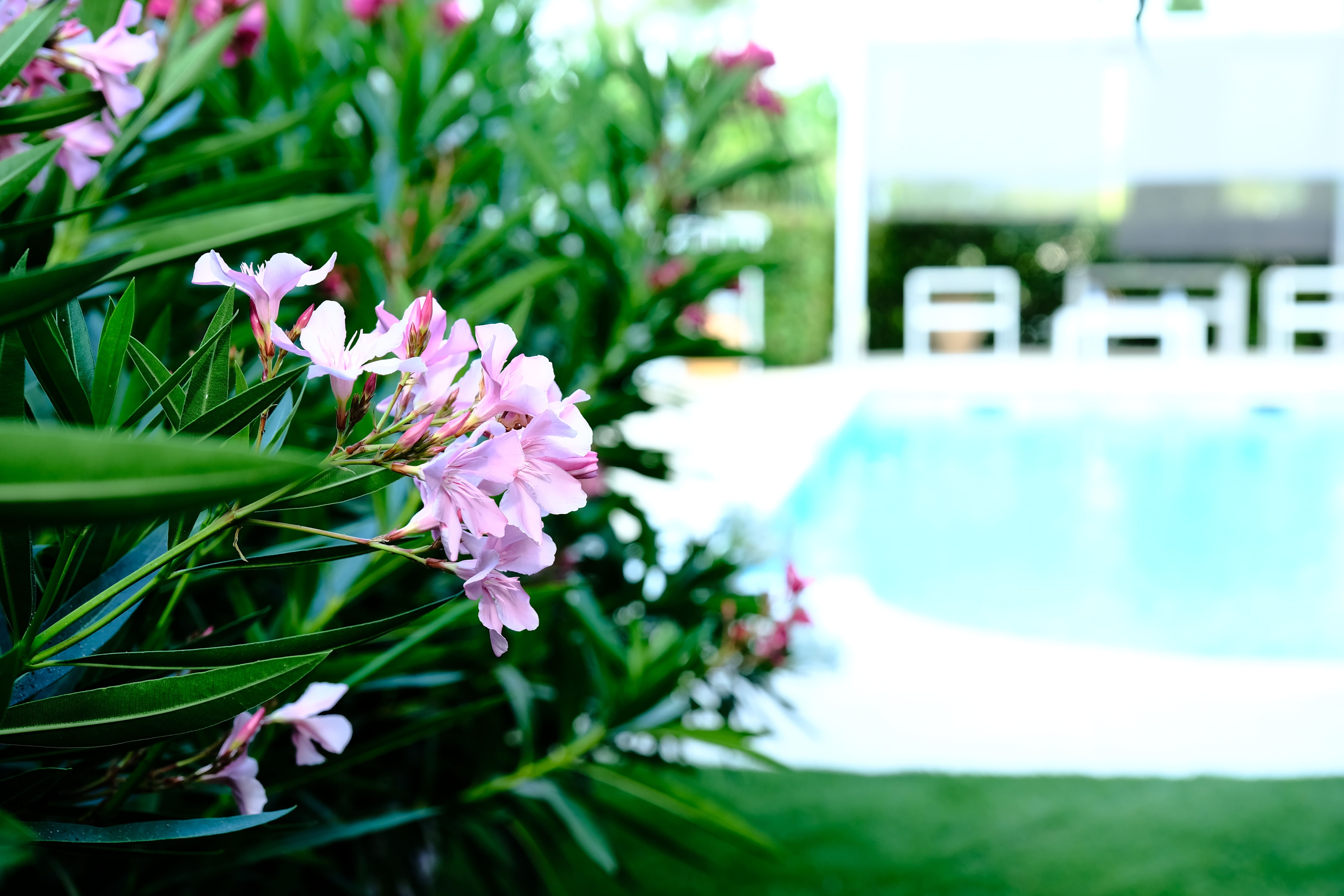 photographe entreprise Bressuire