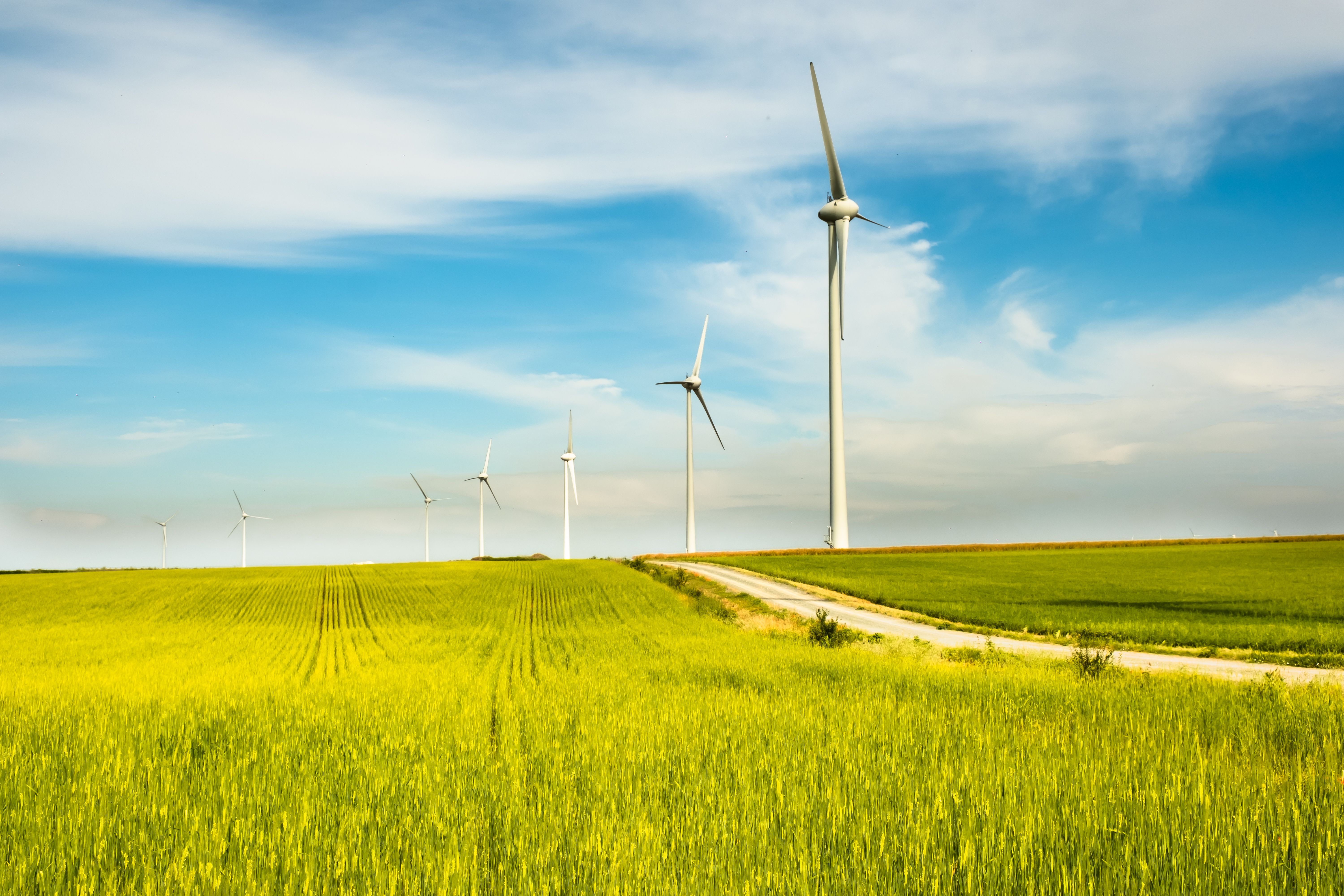 photographe entreprise Bressuire