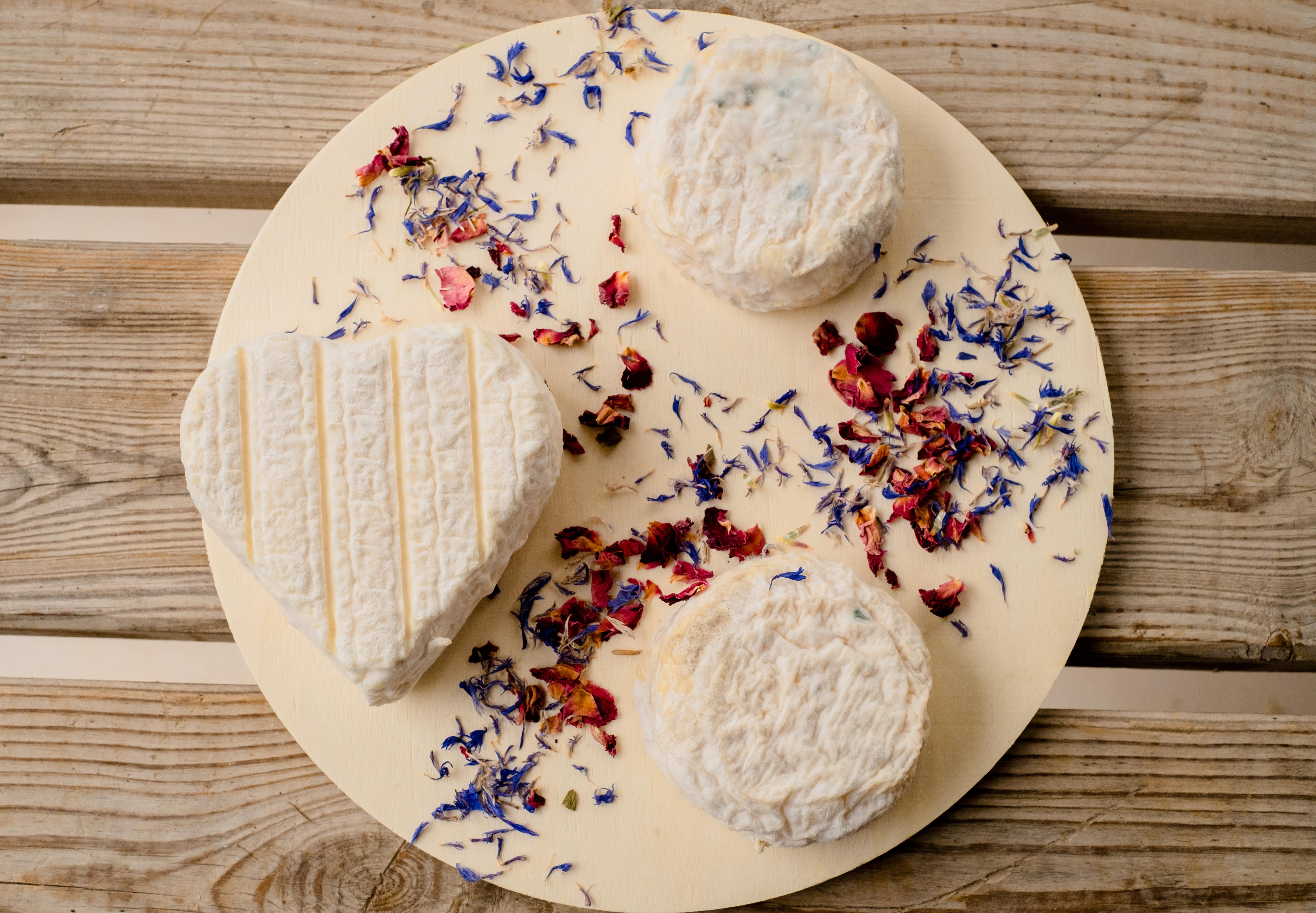 photographe entreprise Bressuire