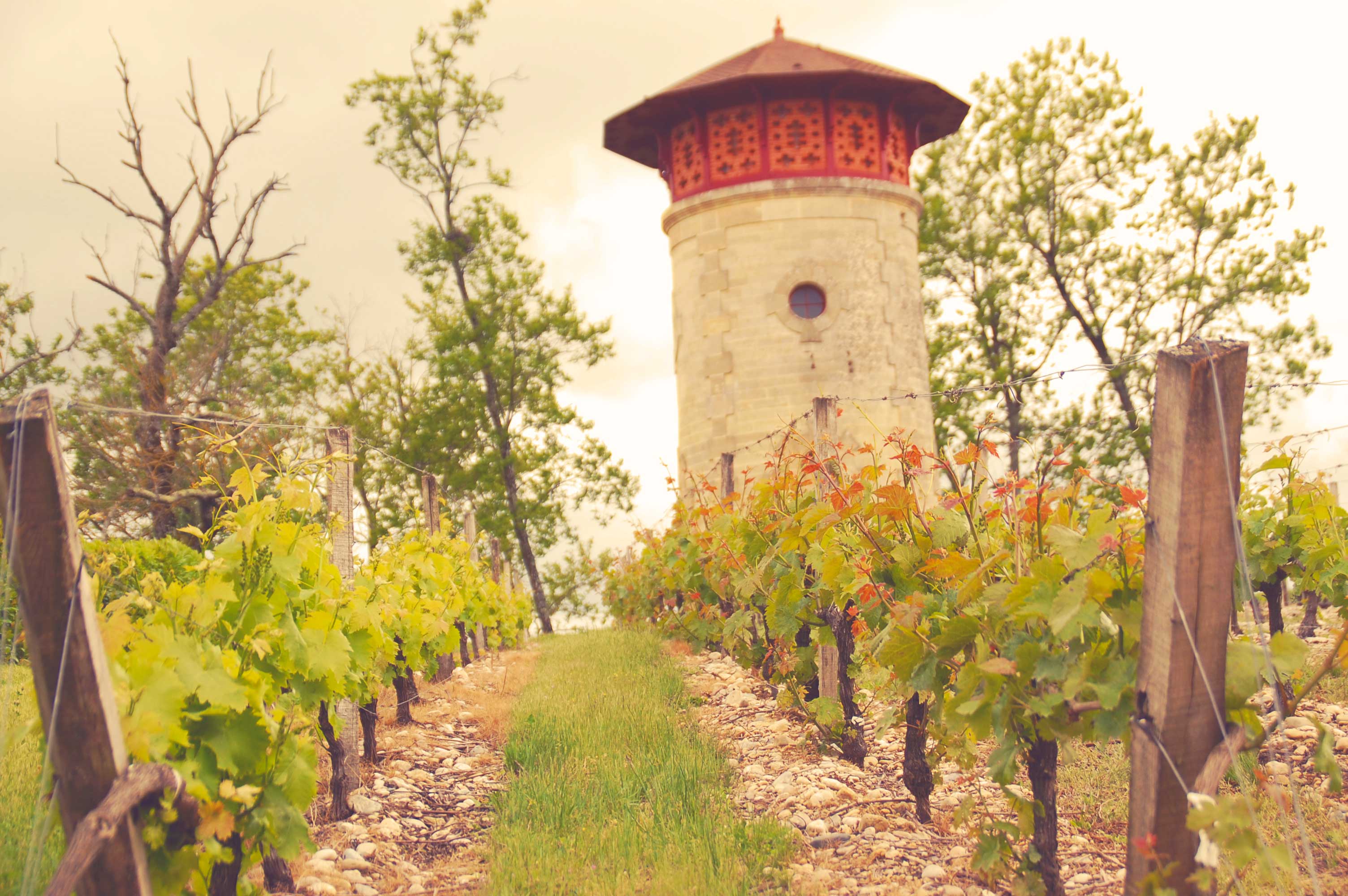 photographe Bressuire