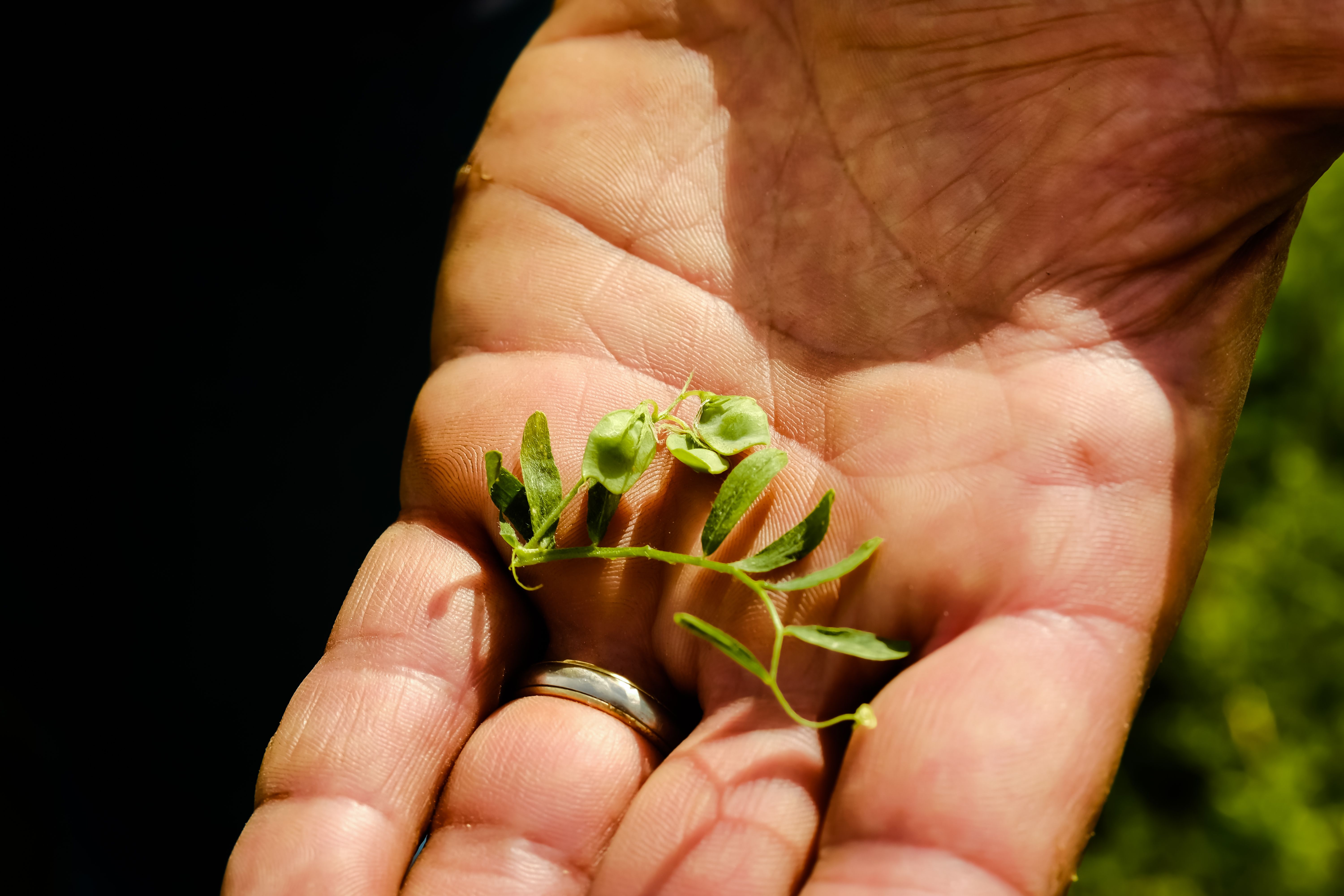 photographe entreprise Bressuire