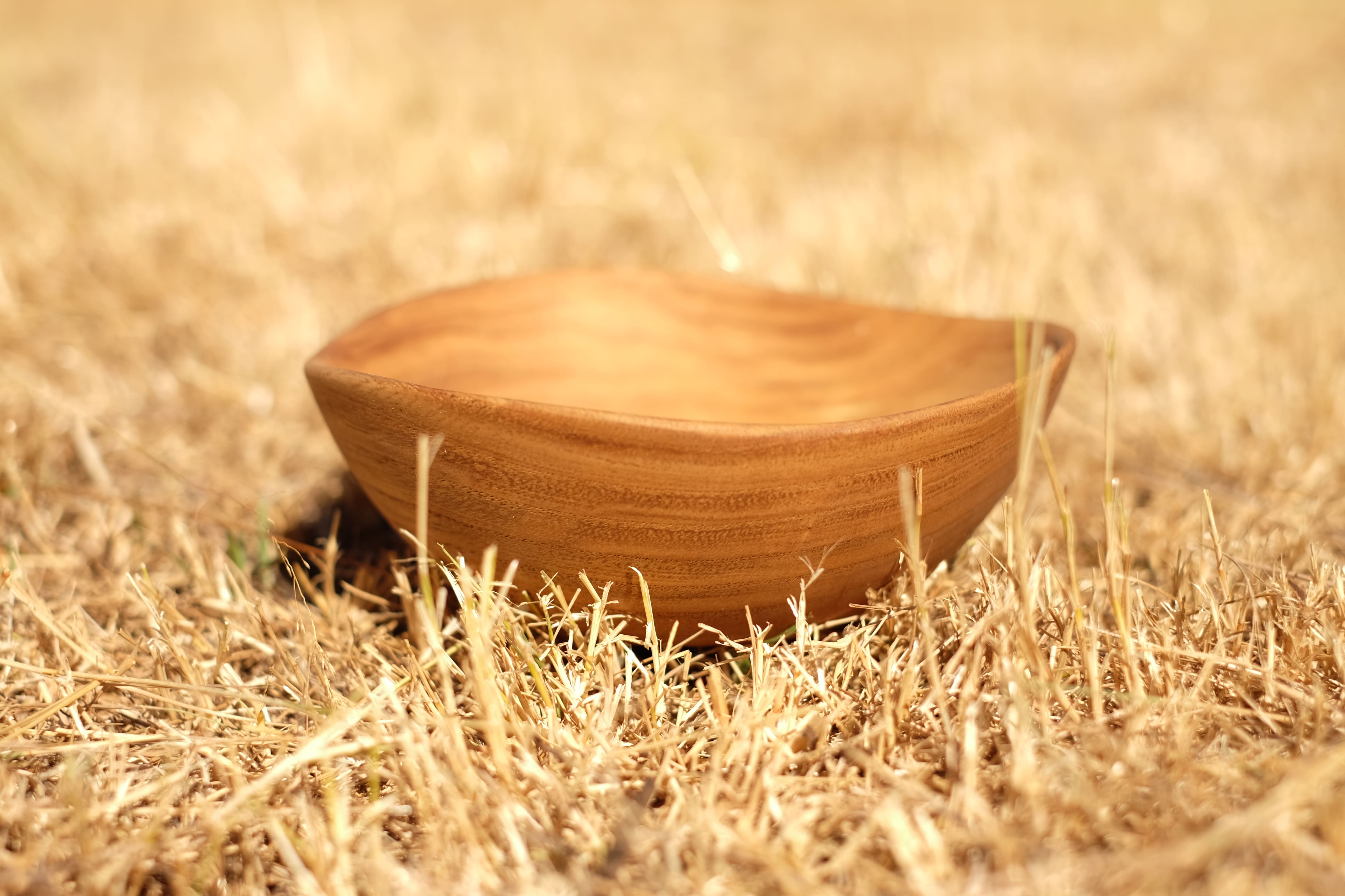 photographe entreprise Bressuire