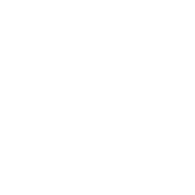 Support Icon