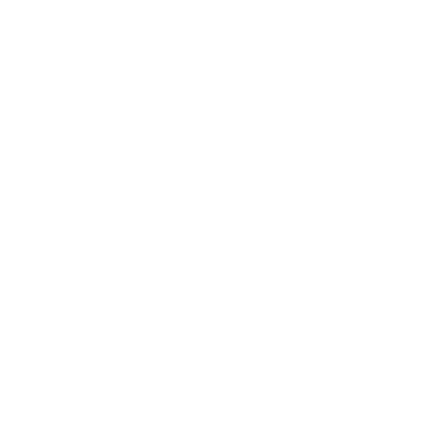 Reporting Icon