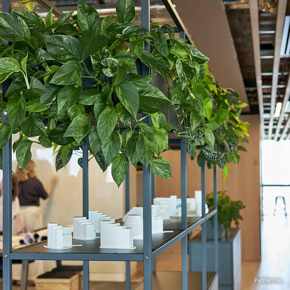 Find the right plant for your space, we'll make it easy. 