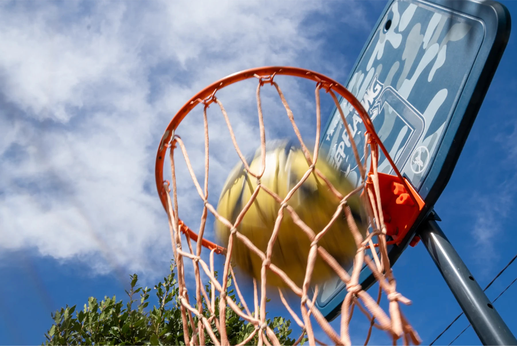 basketball in a basket on a sunny day