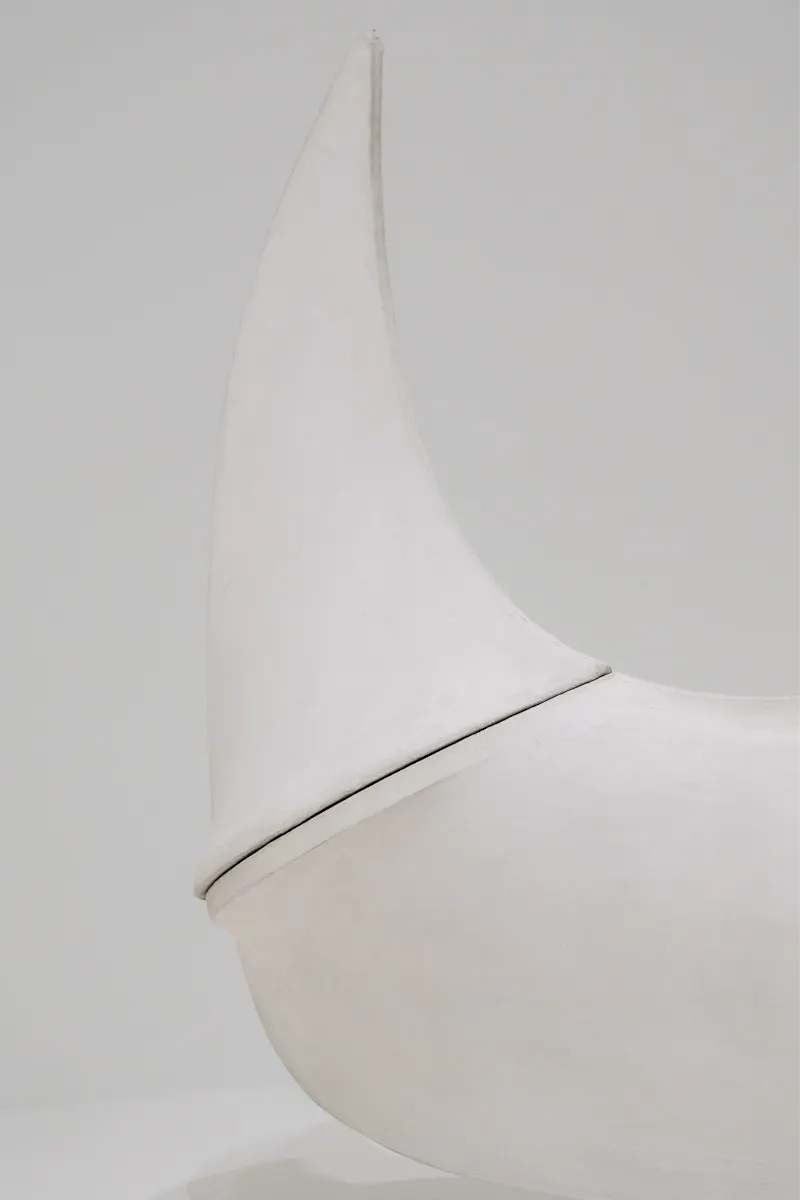 Photo of a white horn - work of art by Pascali