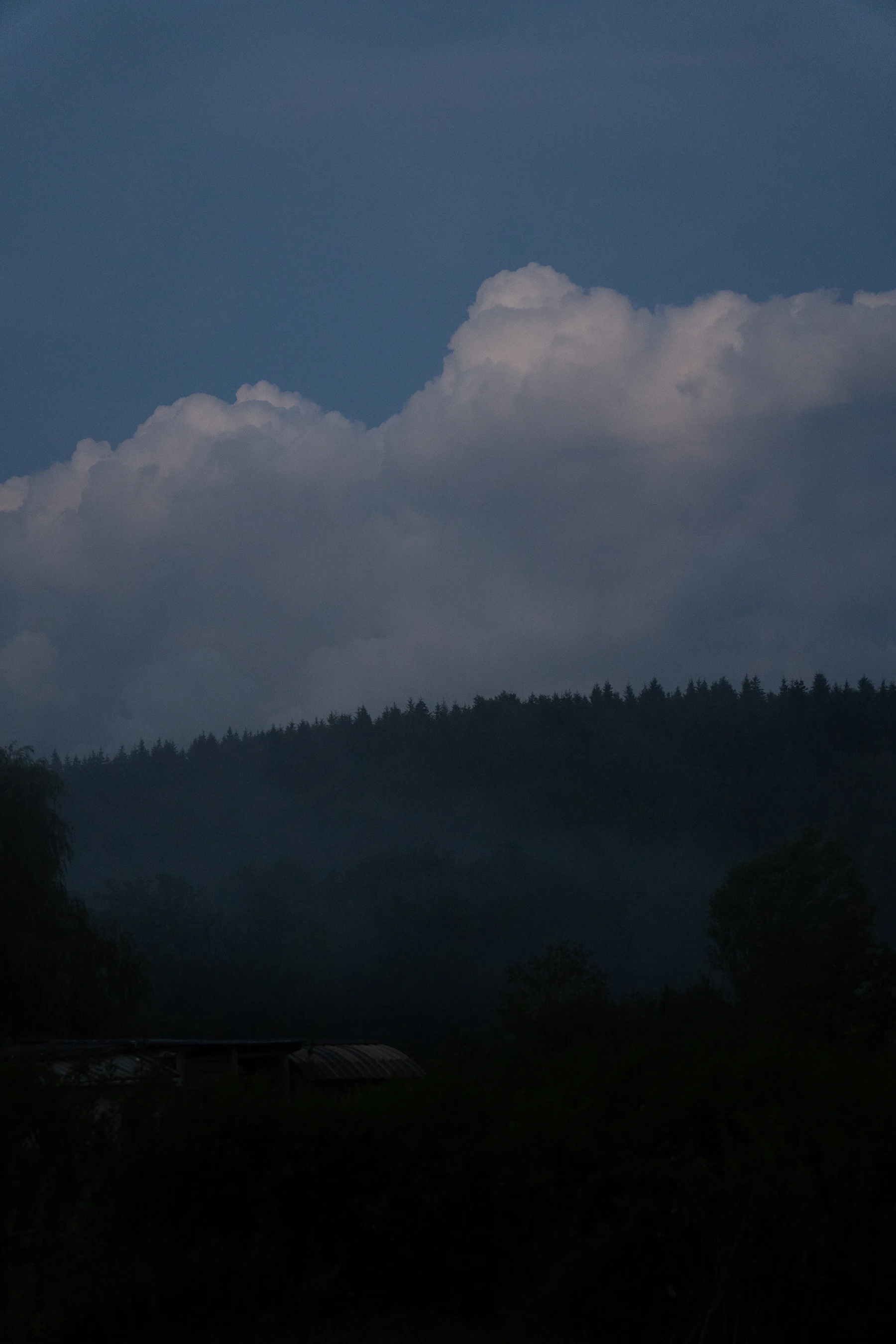 clouds and a dark forest
