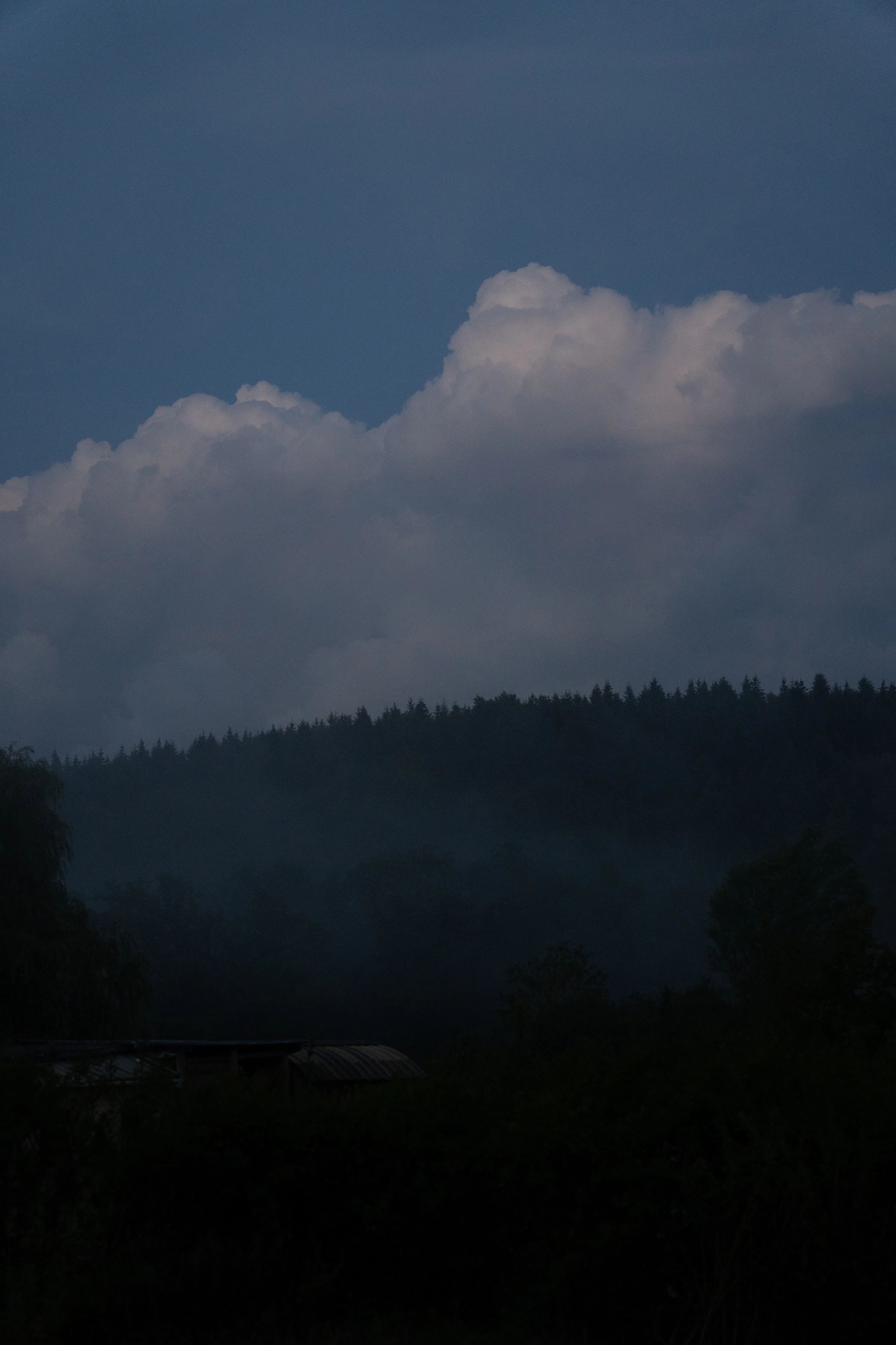 clouds and a dark forest