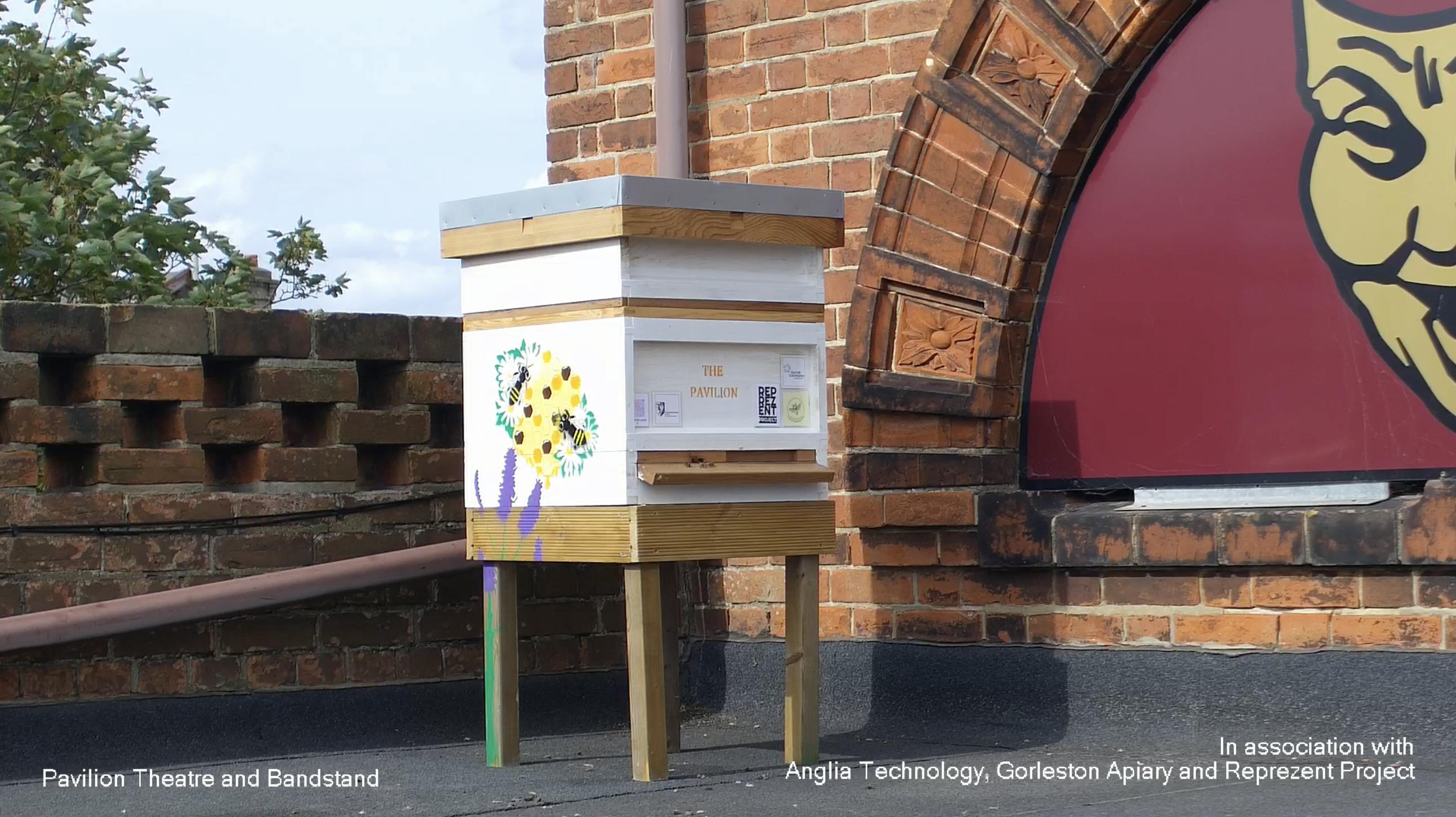 The webcam view of our new bee hive