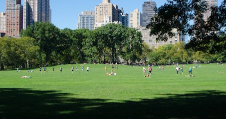 Central Park in New York.