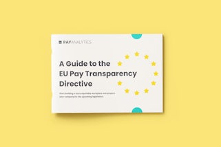 A graphic for the EU Pay Transparency E-Book by PayAnalytics.