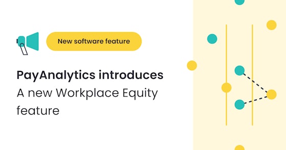 New feature in the PayAnalytics software: Workplace Equity