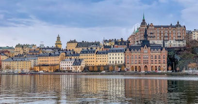 Sverige - Analys och rapportering av löneutjämning (lönekartläggning)