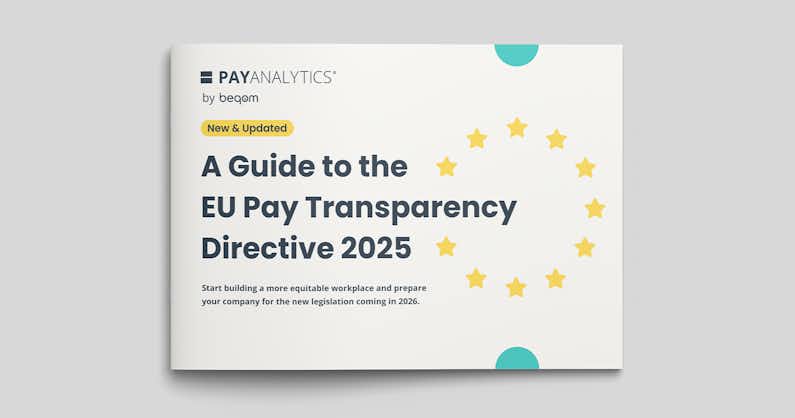 A graphic showing PAyAnalytics' 2025 EU Pay Transparency Directive eGuide.
