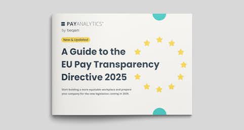 A graphic showing PayAnalytics' 2025 EU Pay Transparency Directive eGuide.