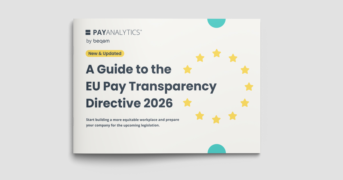 A graphic showing PayAnalytics' 2026 EU Pay Transparency Directive eGuide.