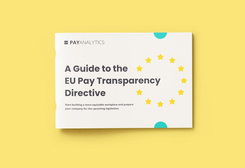 A photo of the guide to the EU Pay Transparency Directive.