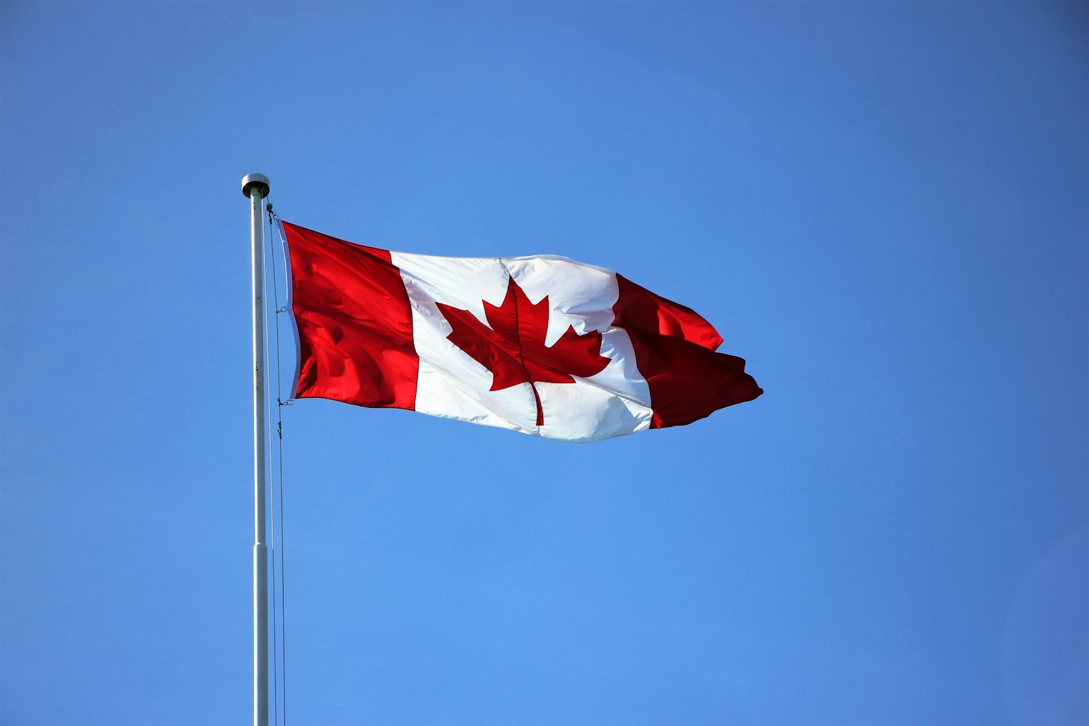 Photo of the Canada flag in a blue background
