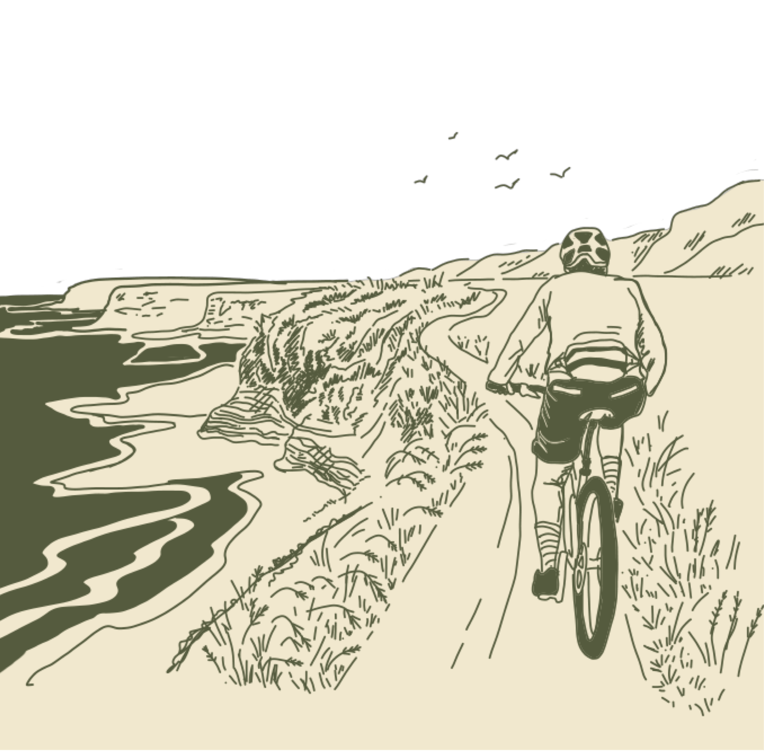 Drawing of mountain biker on trail with birds above.