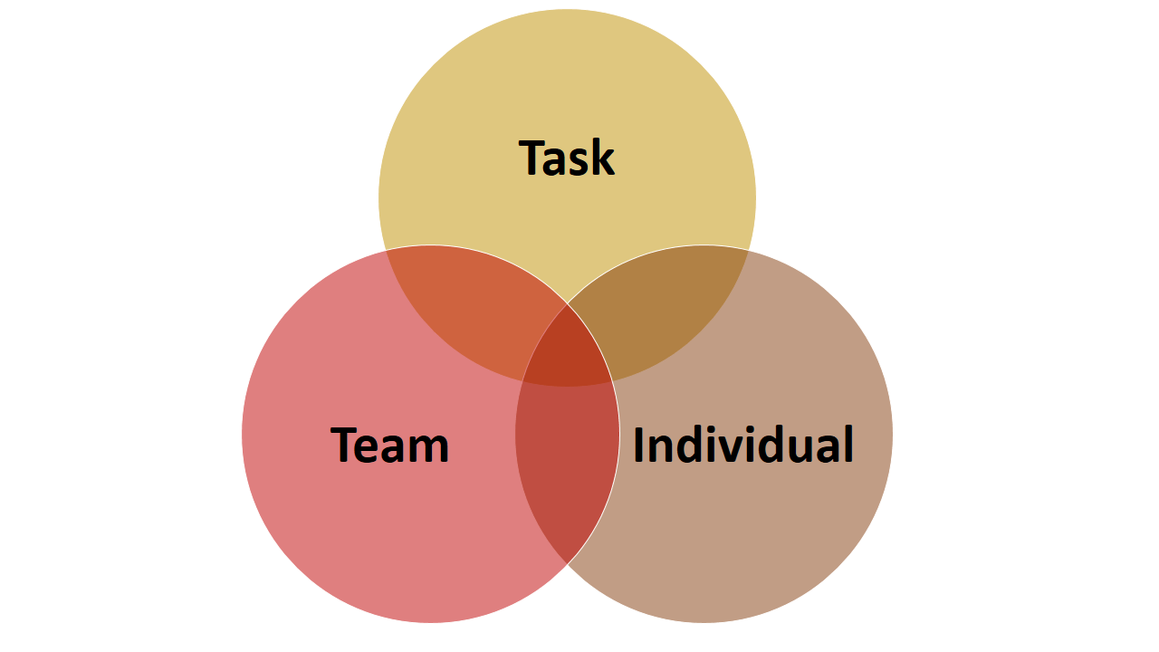 Action Centered Leadership: Task, Team, Individual