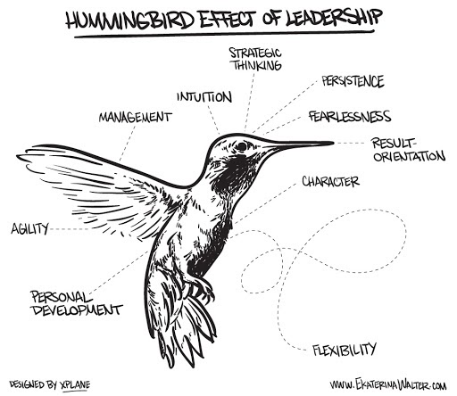 Hummingbird leader