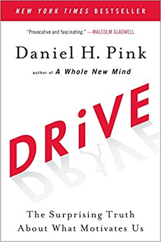 Buch 'Drive' - Daniel H. Pink