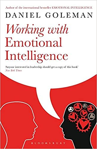 Livre «Working with Emotional Intelligence»