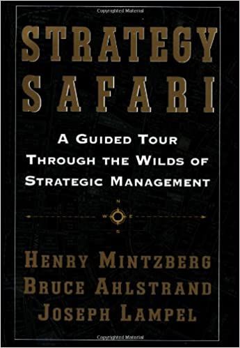 Book 'Strategy Safari'