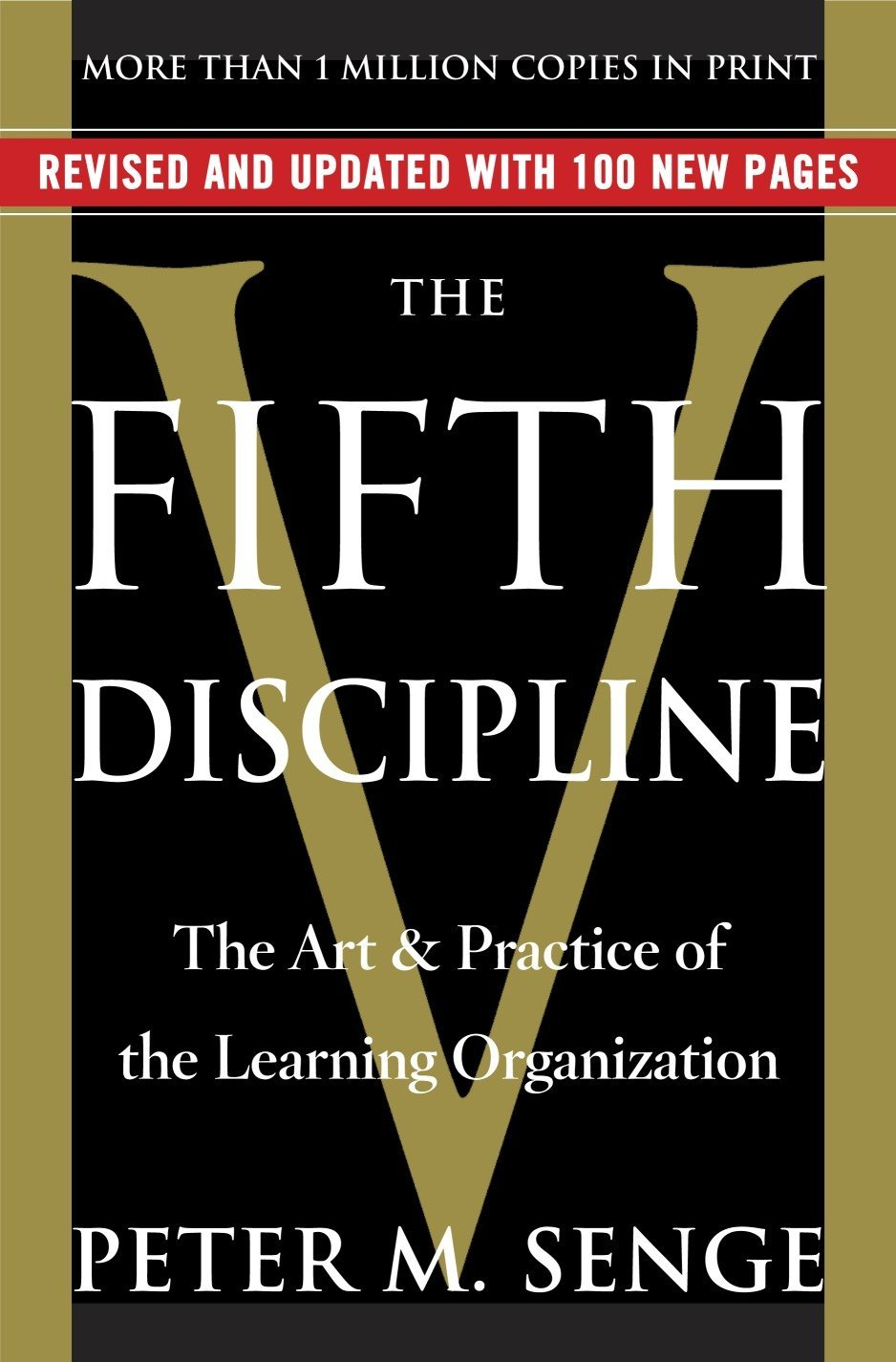 Buch 'Die Fünfte Disziplin'