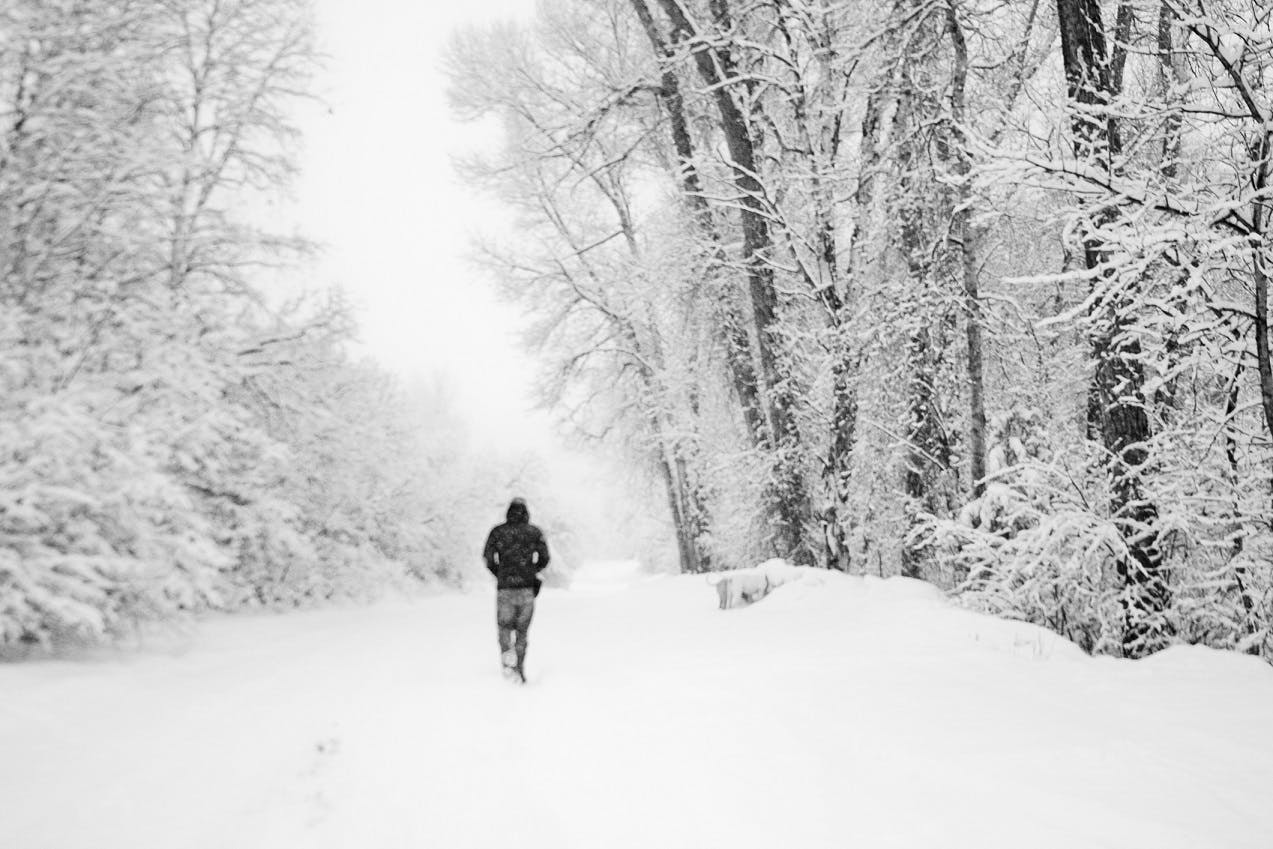 person walking through snow