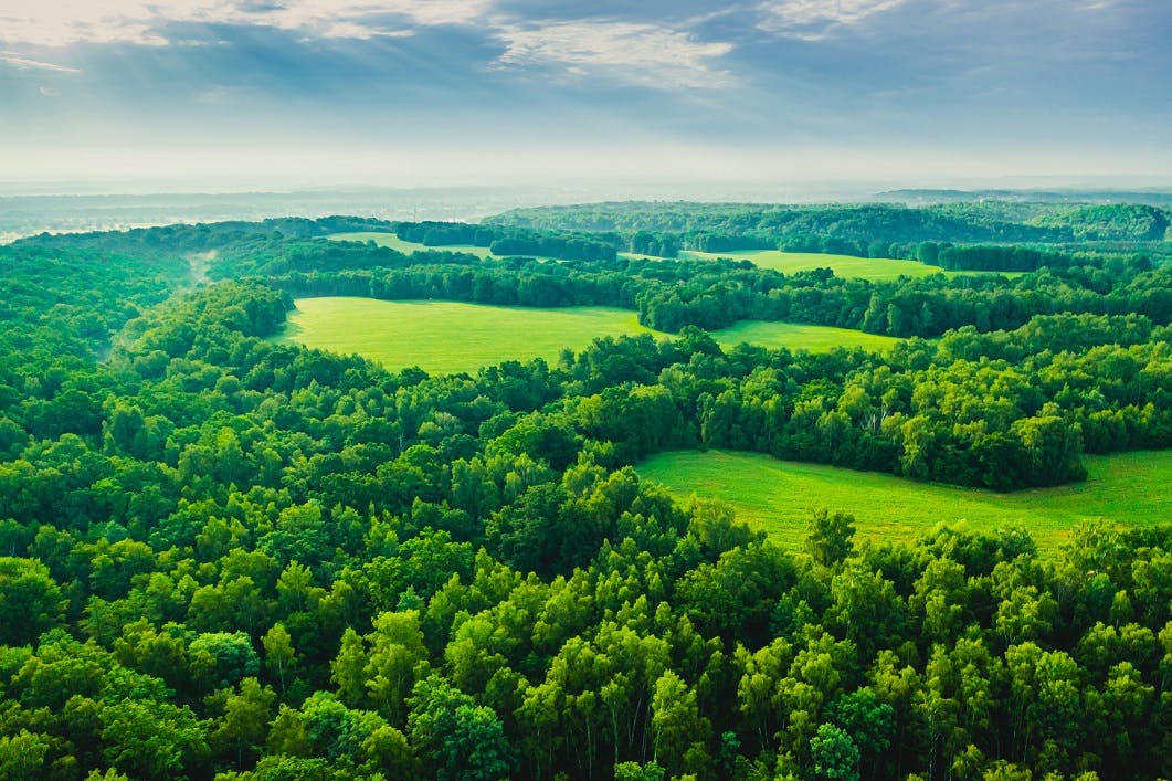 Field. Sustainability. Protection of nature