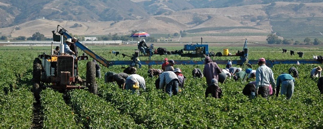 Farm Workers