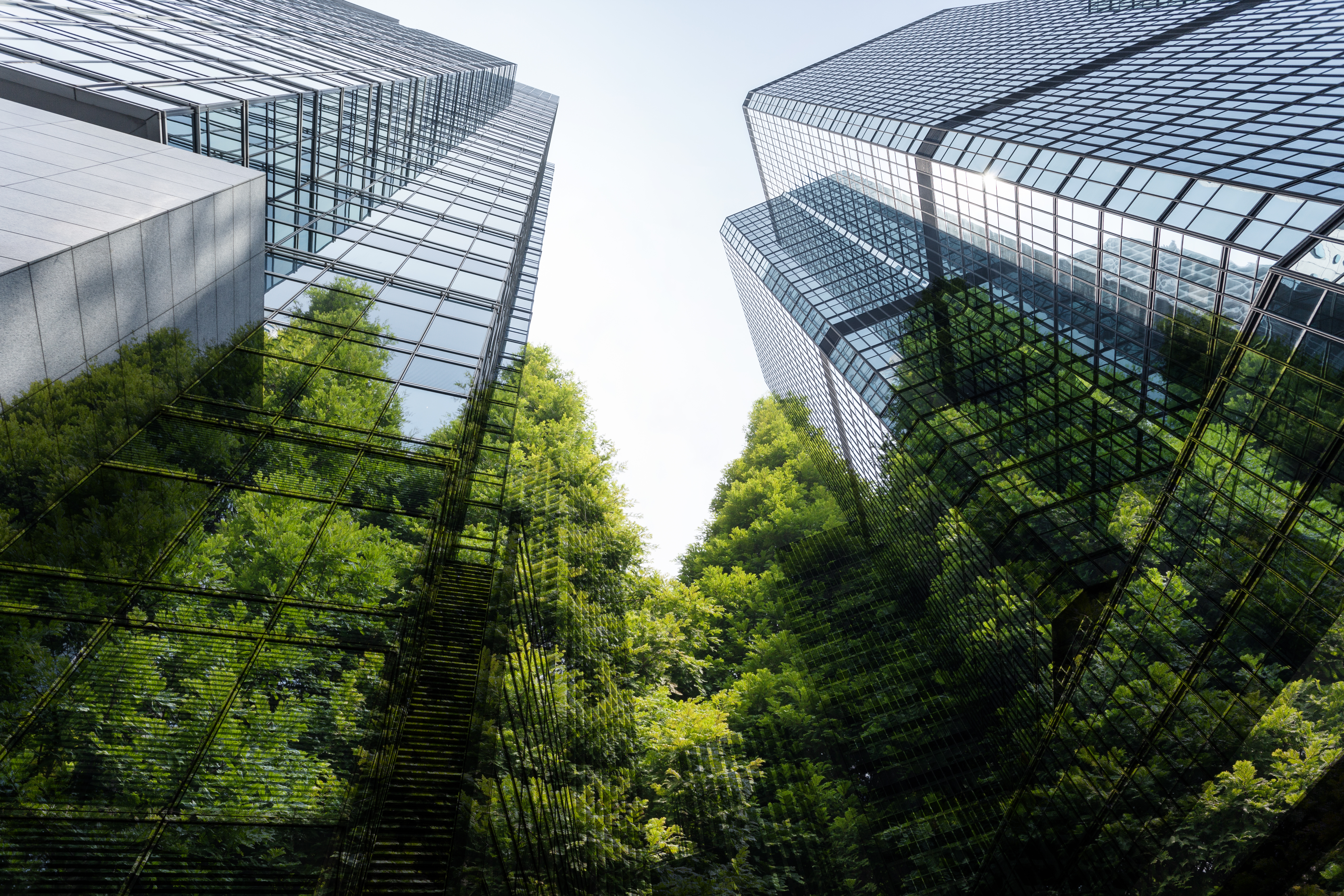 business meets nature