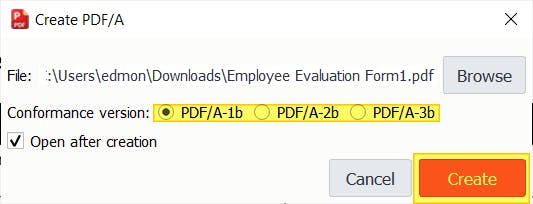 PDF Pro's Create PDF/A dialog box. The radio buttons with the 3 different PDF/A types are highlighted. The Create button is also highlighted. 