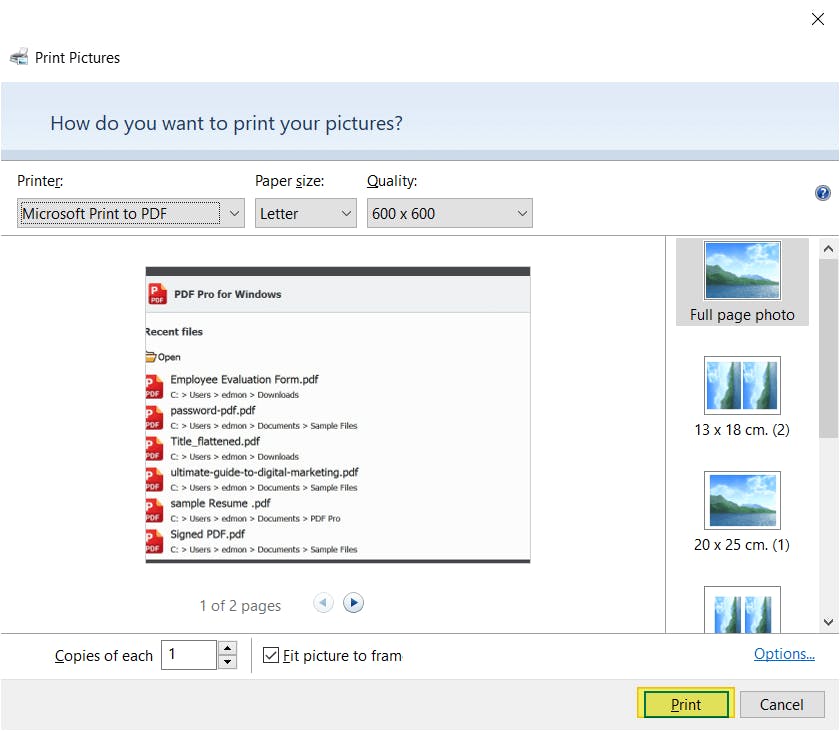 Print Pictures dialog box with the Print button highlighted. 