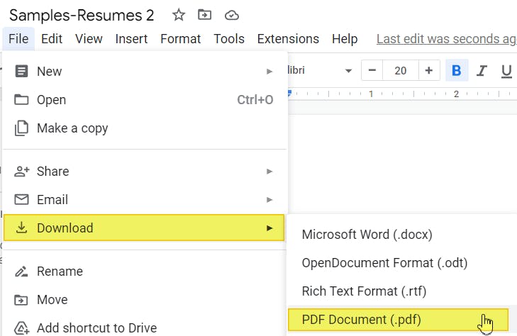 Download as PDF Document option highlighted from Google Doc's File menu dropdown. 