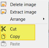 Cut and copy options highlighted in context menu of PDF Pro.