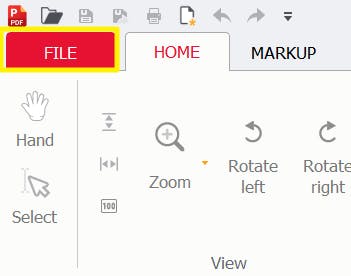 PDF Pro ribbon; the File button is highlighted. 